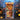 Book Nook Plaza de los Muertos
