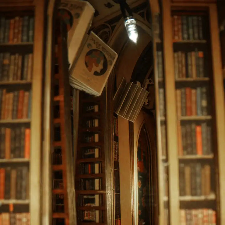 Book Nook La Librairie Des Elfs